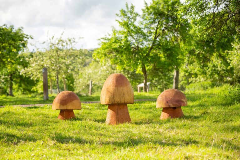 Summer at Brockhampton - bromyard